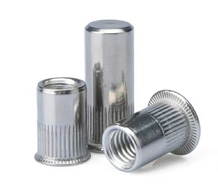 M8 M10 Nocciolo a riveto cieco per fissaggio M2-M12 Q235A2-70 A4-80 Fabbricazione