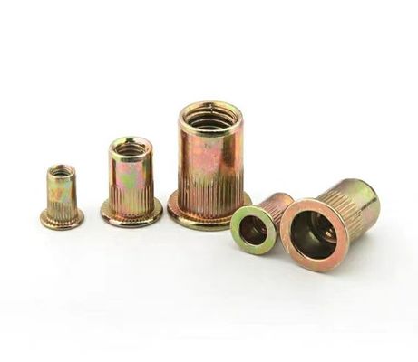 M8 M10 Nocciolo a riveto cieco per fissaggio M2-M12 Q235A2-70 A4-80 Fabbricazione