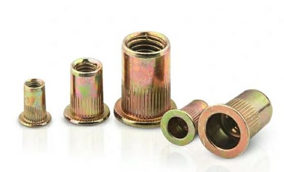 M8 M10 Nocciolo a riveto cieco per fissaggio M2-M12 Q235A2-70 A4-80 Fabbricazione