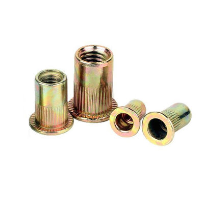 Noce galvanizzata a testa piatta con rivetti verticali di grado 4.8/8.8/10.9/12.9 Ect