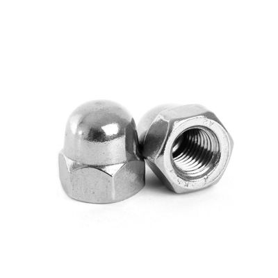 Costruzione M2-M30 Fastener 304 acciaio inossidabile Hexagon Round Head Nut con coperchio decorativo