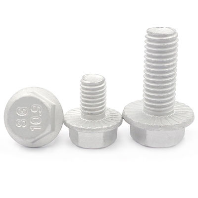 Fornitura diretta Hot Dip Galvanizzato HDG Plate Hex Flange Bolt DIN6921 per la costruzione