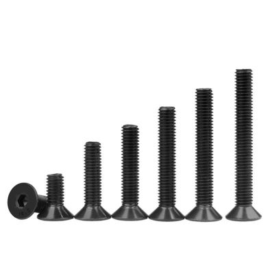 Fissamento sicuro con DIN ANSI Standard Hexagon Socket Countersunk